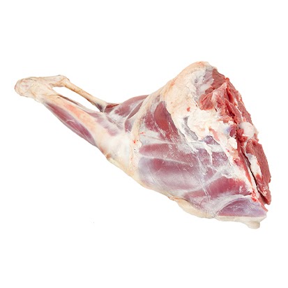 Leg
